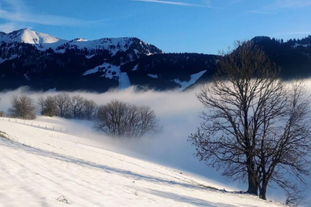 Appartamento Jolie Vue Au Calme Évian-les-Bains Esterno foto